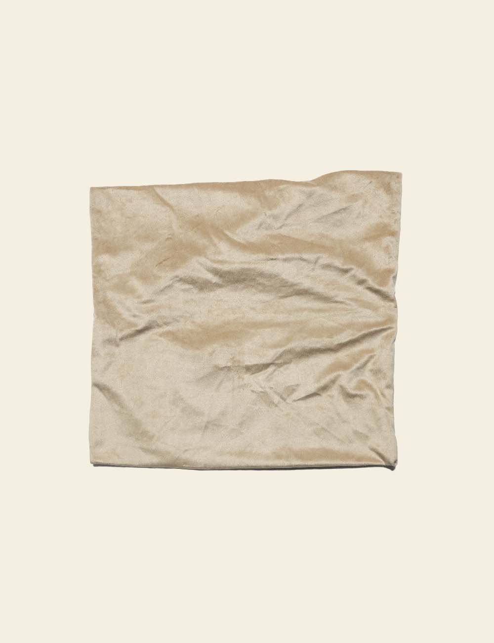 Champagne Pink Silk Cushion Cover