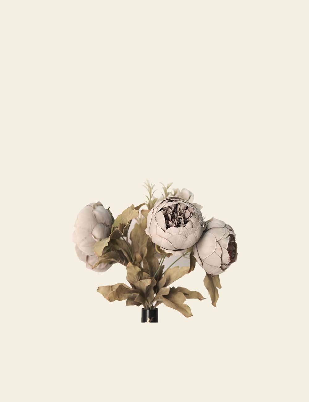 Closed Peony Heads Bunch