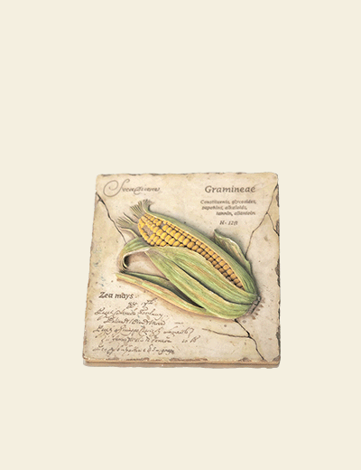 Corn Cookbook – Paperback Edition