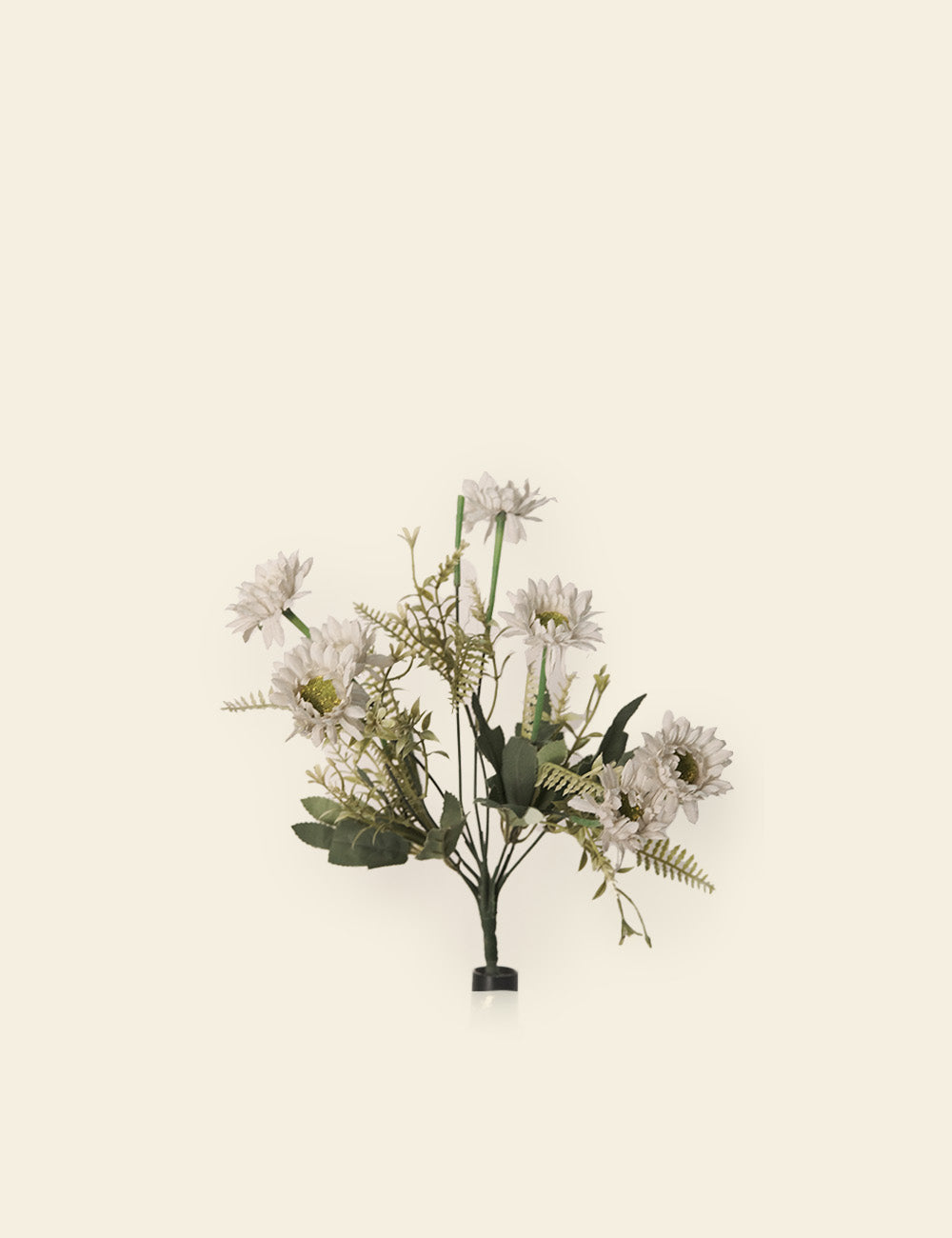 Daisies and Ferns Bunch
