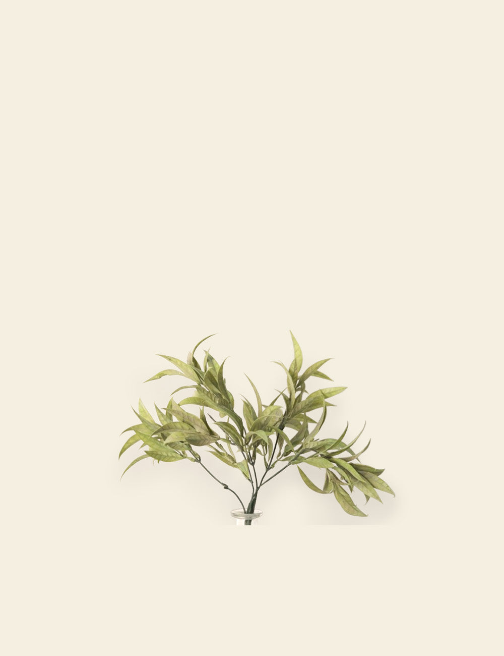 Green Leaves Bunch