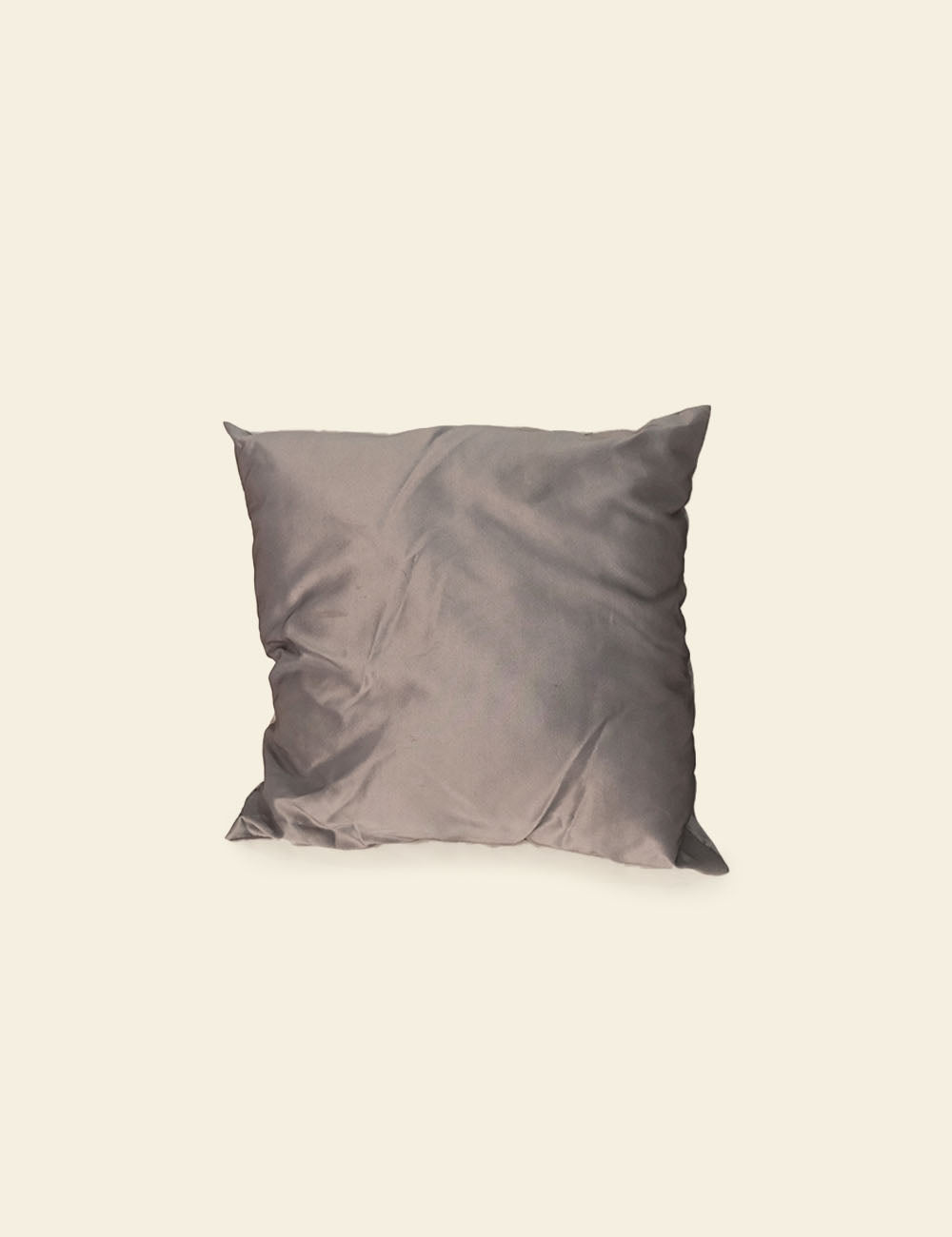 Grey Silk Cushion