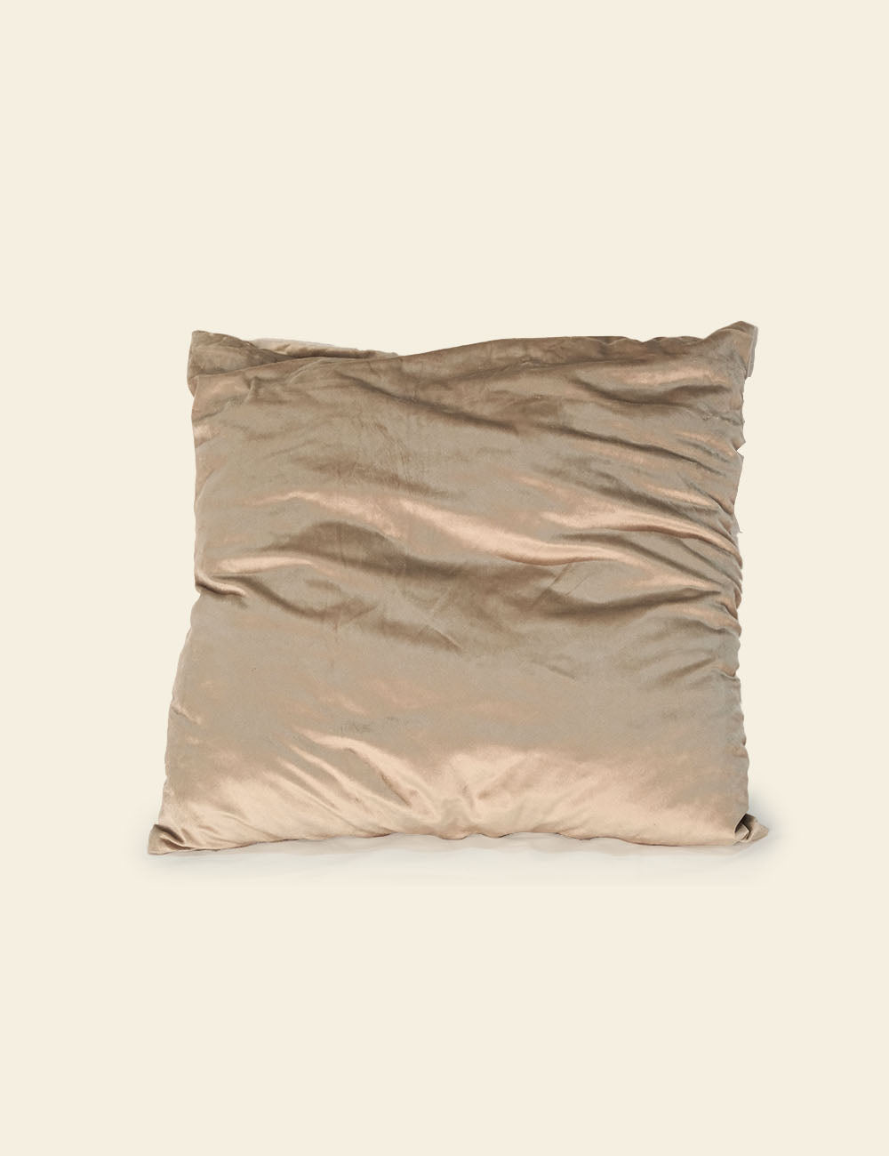 Light Brown Silk Cushion