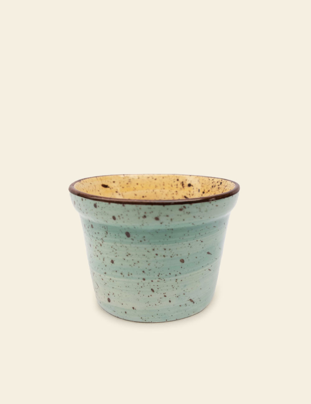 Light Green Blue Handmade Ceramic Planter with Brown Speckles