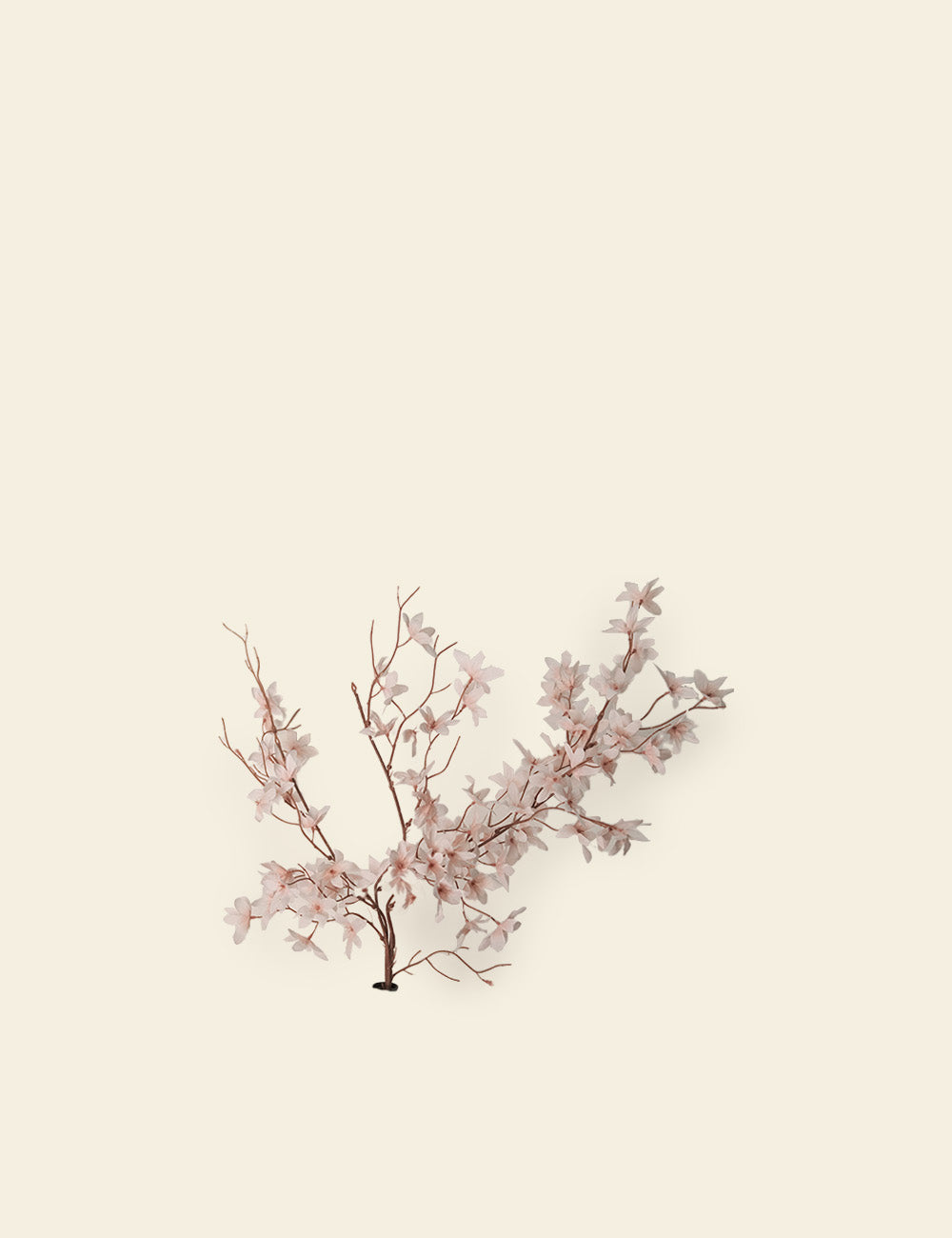 Magnolia Blossom Stems Bunch