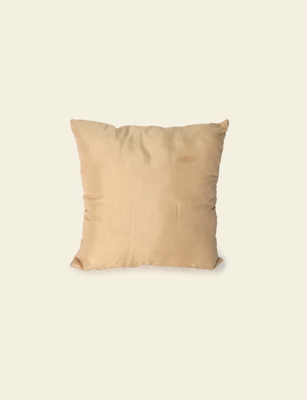 Yellow Skin Cotton Silk Cushion
