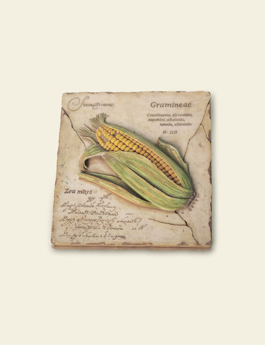 Sweetcorn Wall Plaque