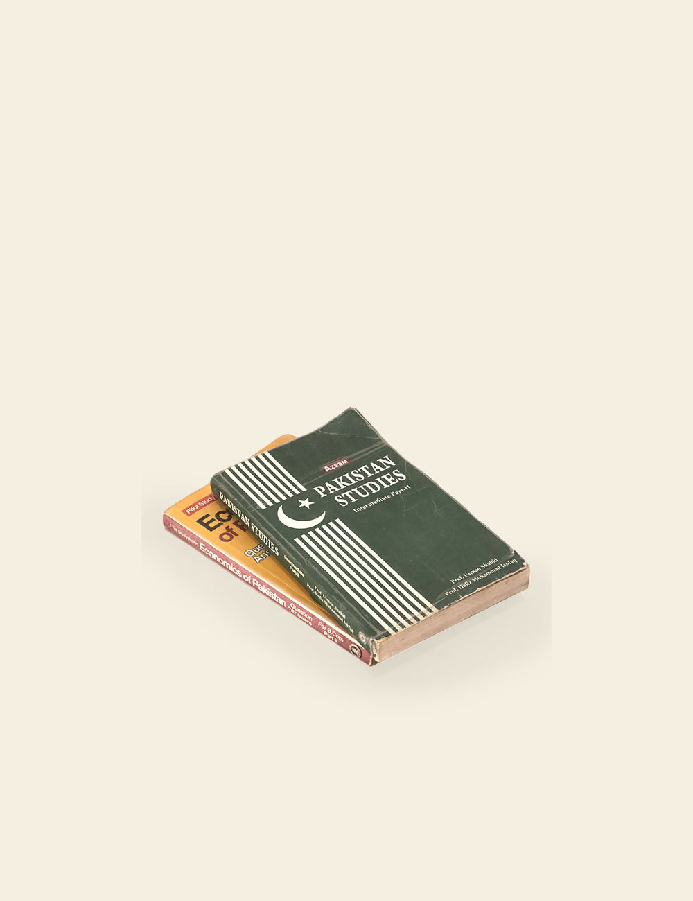 Academic Books (Stack of 2, Set 01)