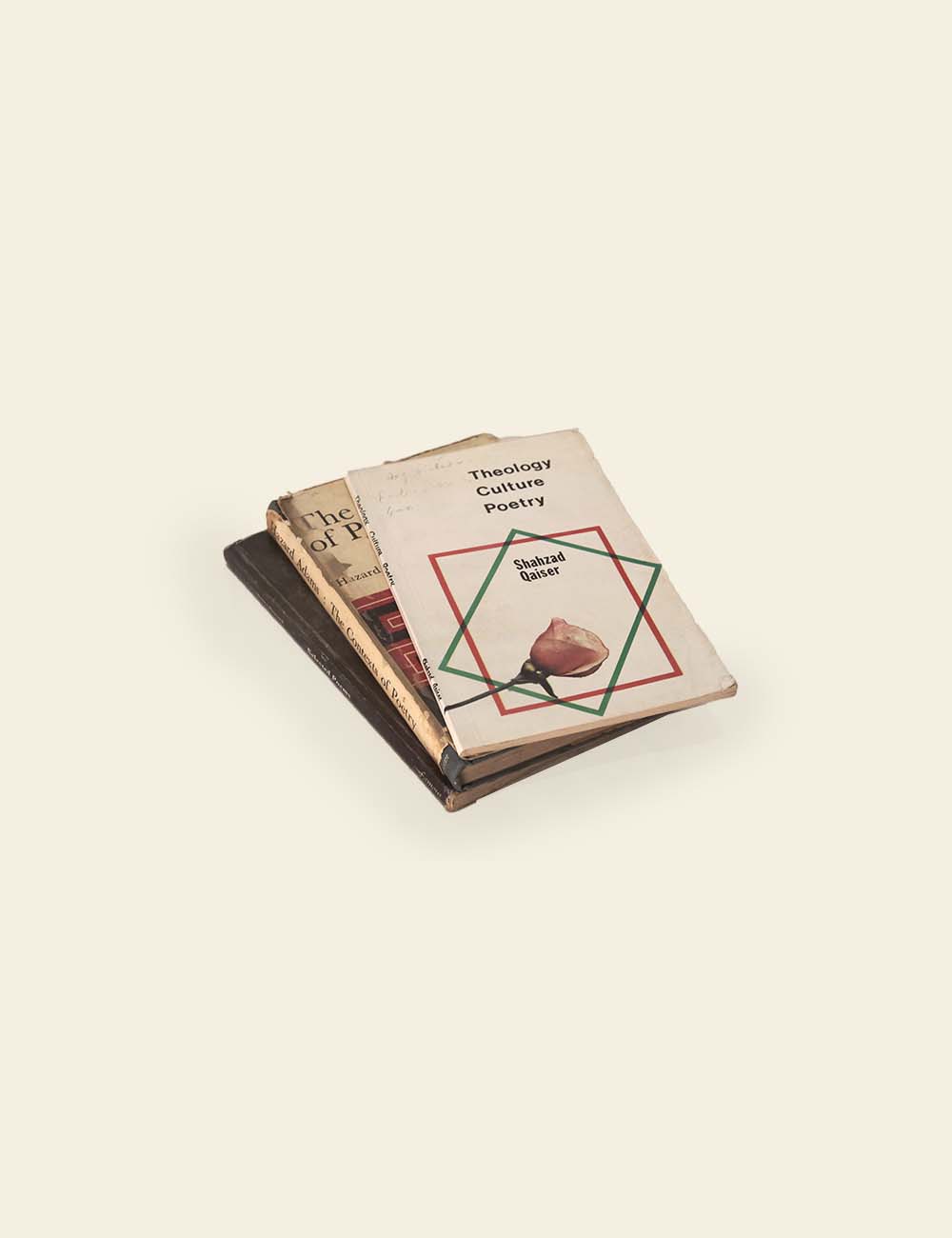 Academic Books (Stack of 3, Set 05)
