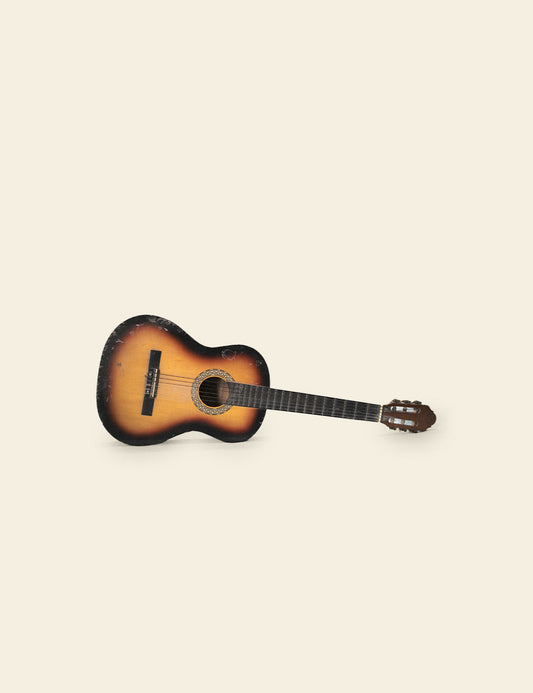 Acoustic Guitar