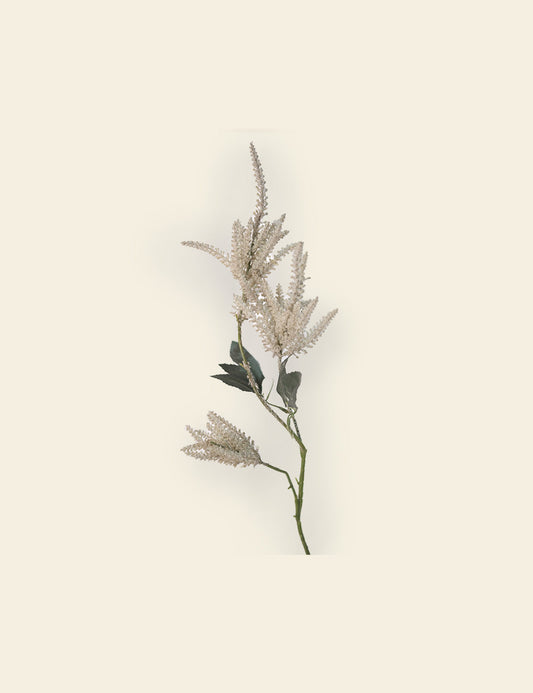 Astilbe Spray Stem