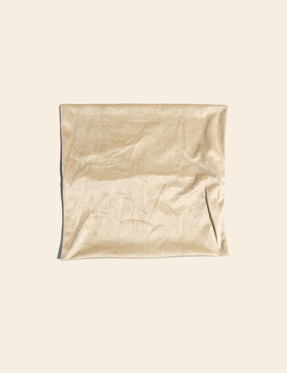 Beige Silk Cushion Cover