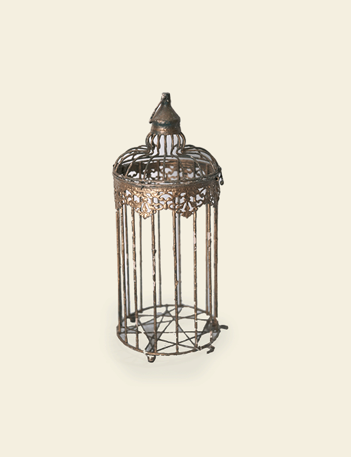 Brass Gold Bird Cage Prop