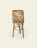 Cane Stand Planter