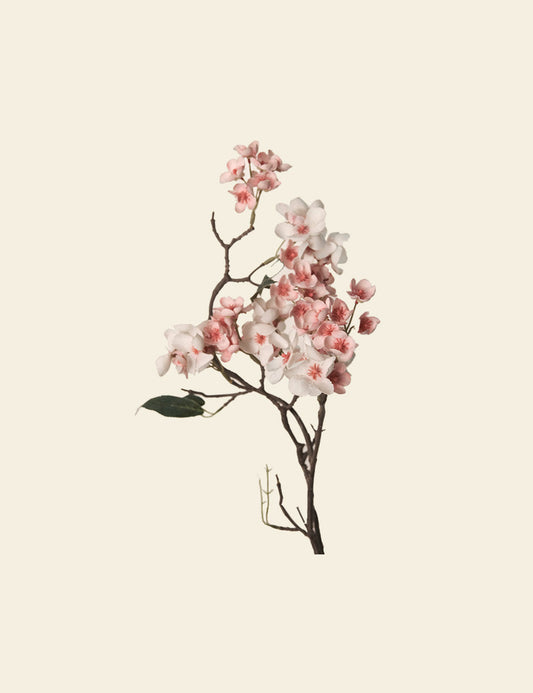 Cherry Blossom Bunch Stem