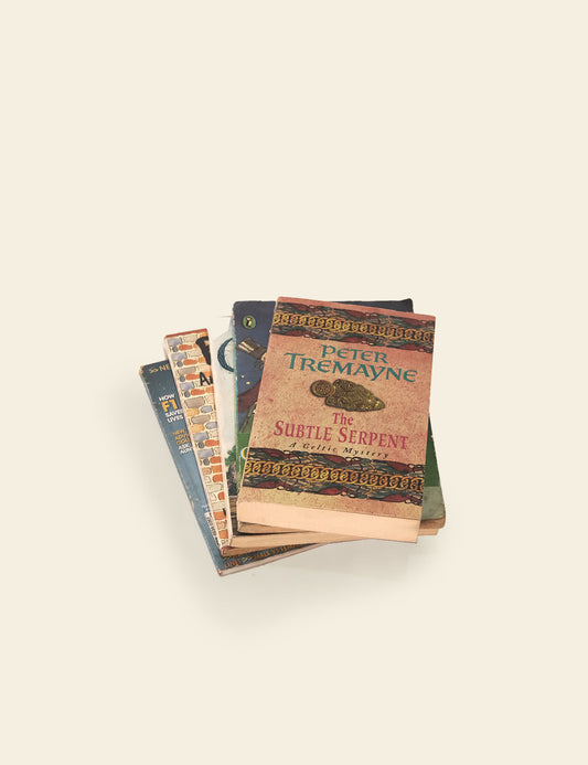 Children Paperback Books (Stack of 5, Set 01)