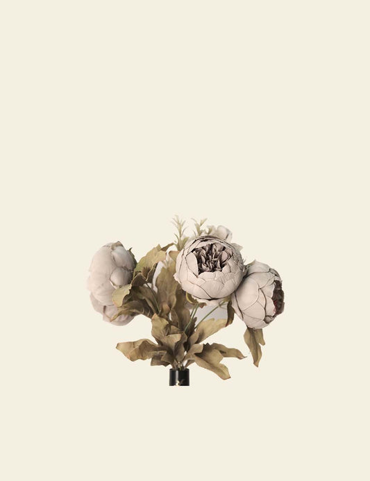 Closed Peony Heads Bunch