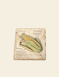 Corn Cookbook – Paperback Edition