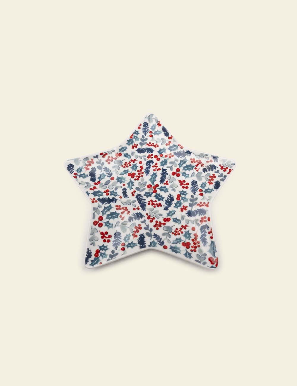 Star Shape Red and Blue Pattern Plate