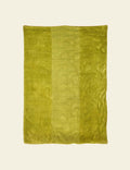 Lime Green Rug