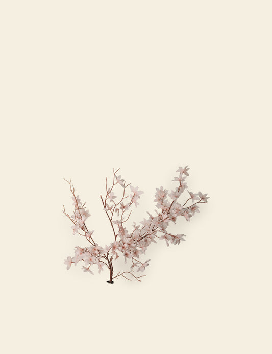 Magnolia Blossom Stems Bunch