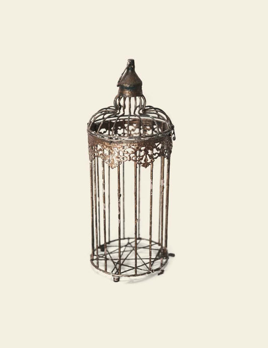Metal Bird Cage