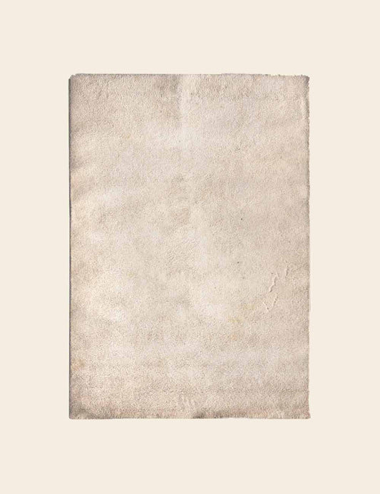 Off-White Shaggy Rug