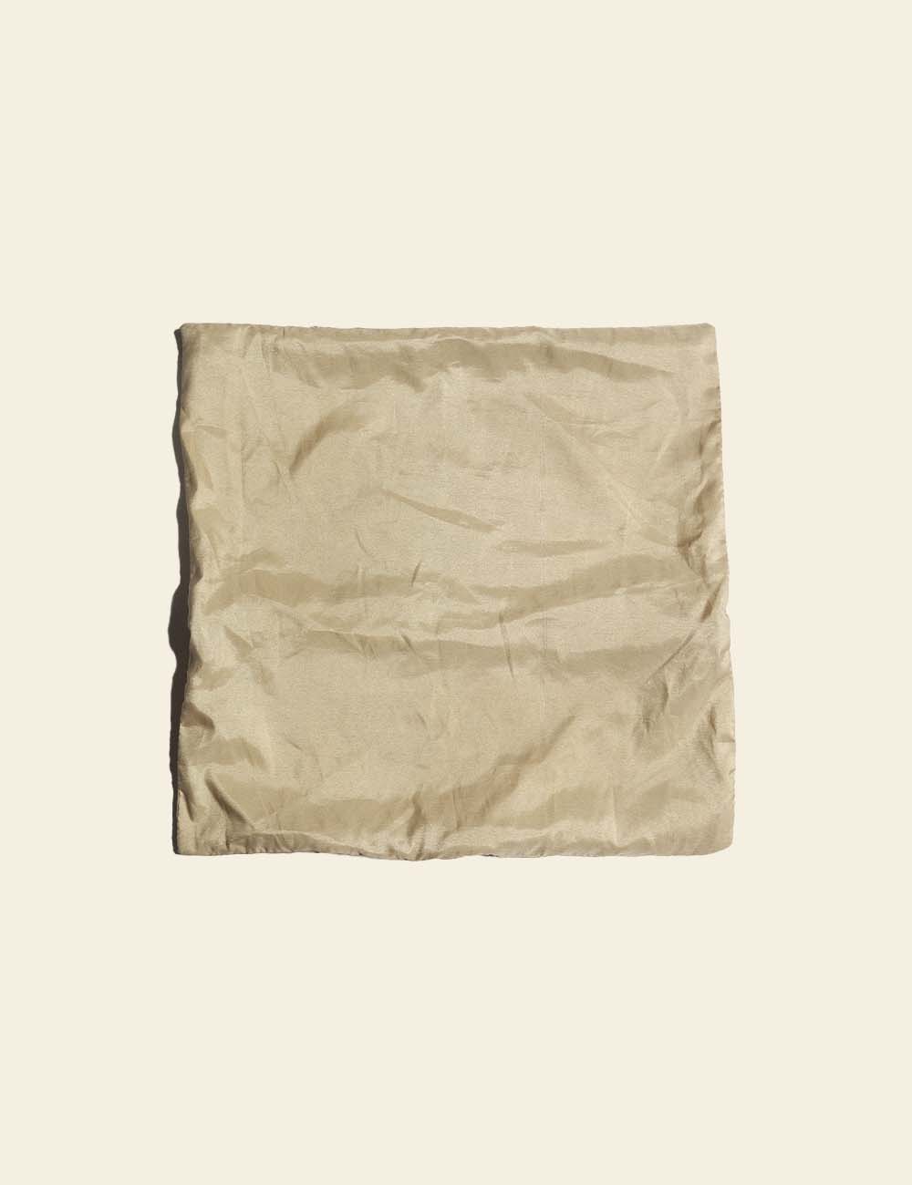 Pale Beige Silk Cushion Cover