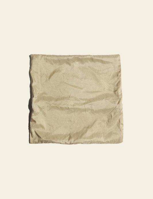 Pale Beige Silk Cushion Cover
