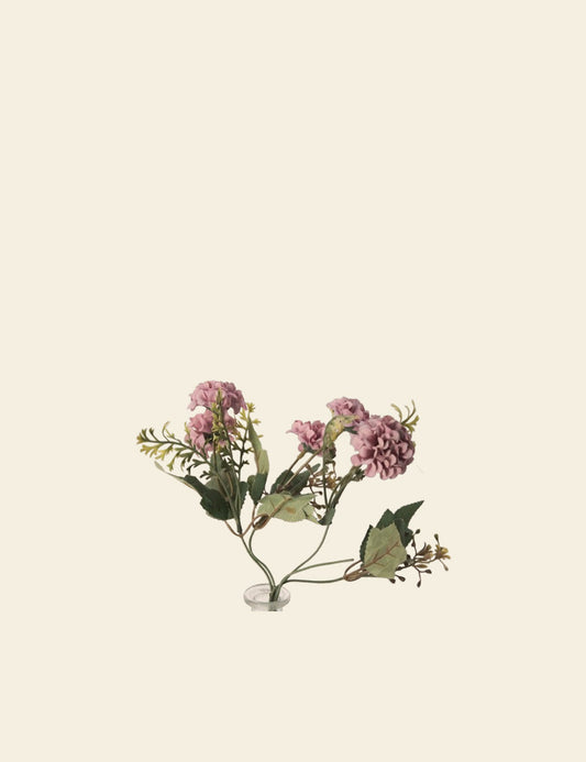 Pink Hydrangea