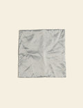 Silver Silk Cushion Cover