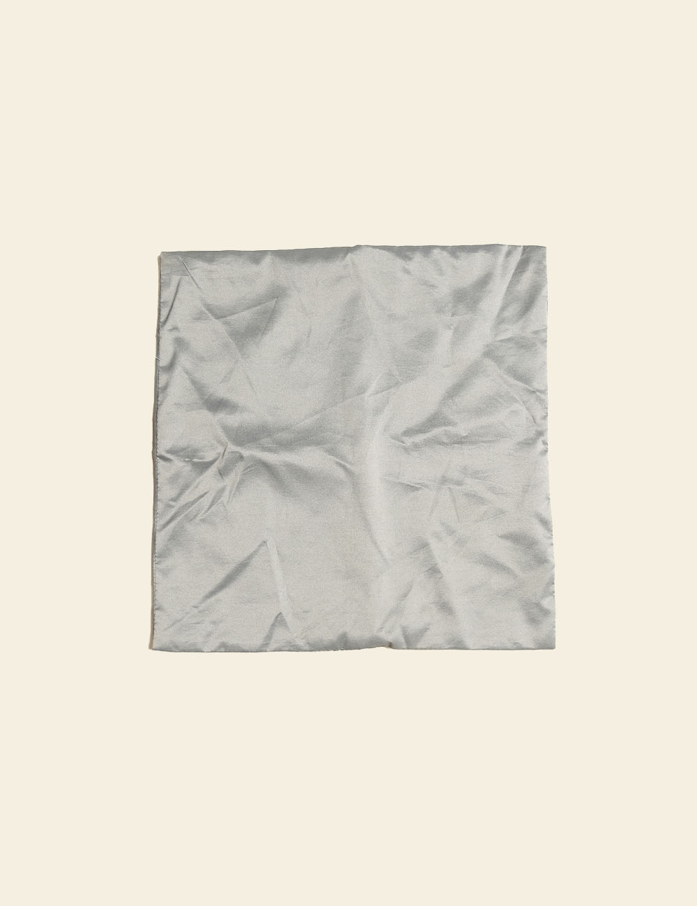 Silver Silk Cushion Cover