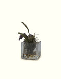 Clear Glass Decorative Block