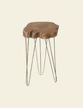 Wood Log Steel Legs End Table