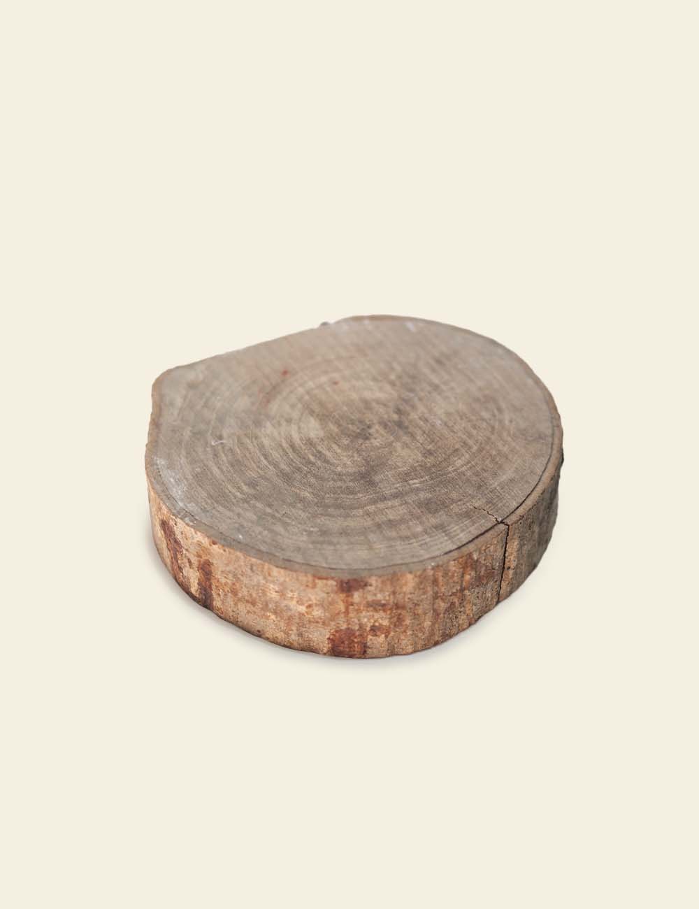 Wood Slice