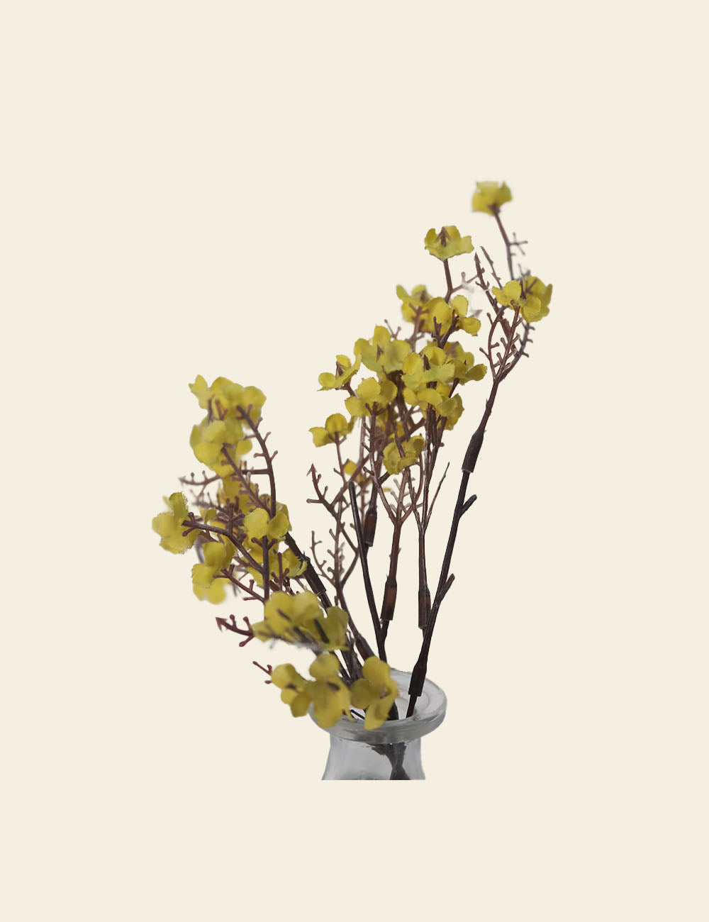 Yellow Blossom Flower